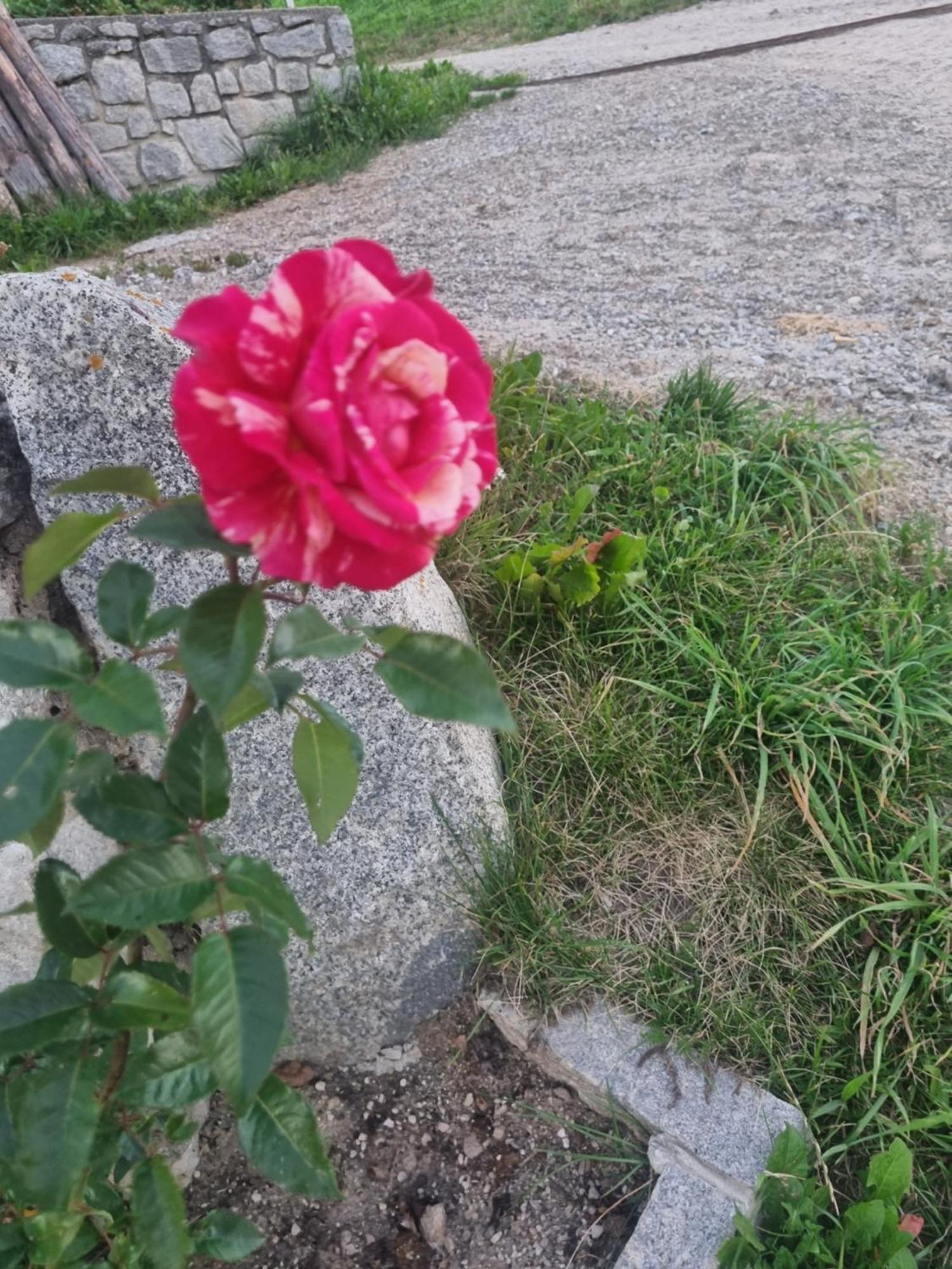 דירות טרנטו Perchnerhof מראה חיצוני תמונה